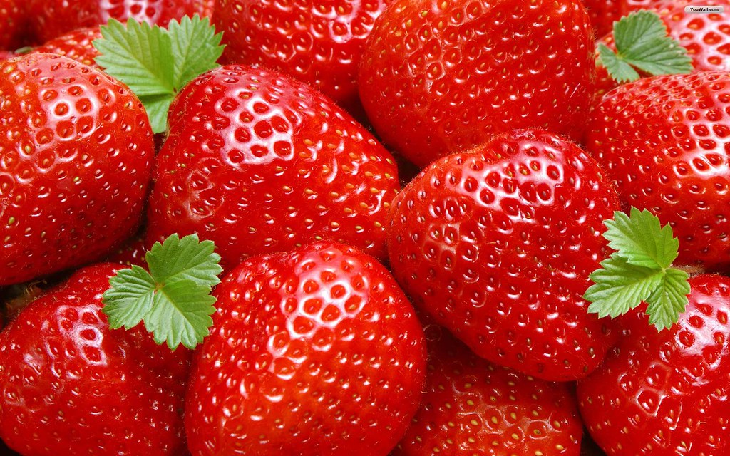 fond d'écran de fruits,aliments naturels,fraise,fruit,frutti di bosco,baie