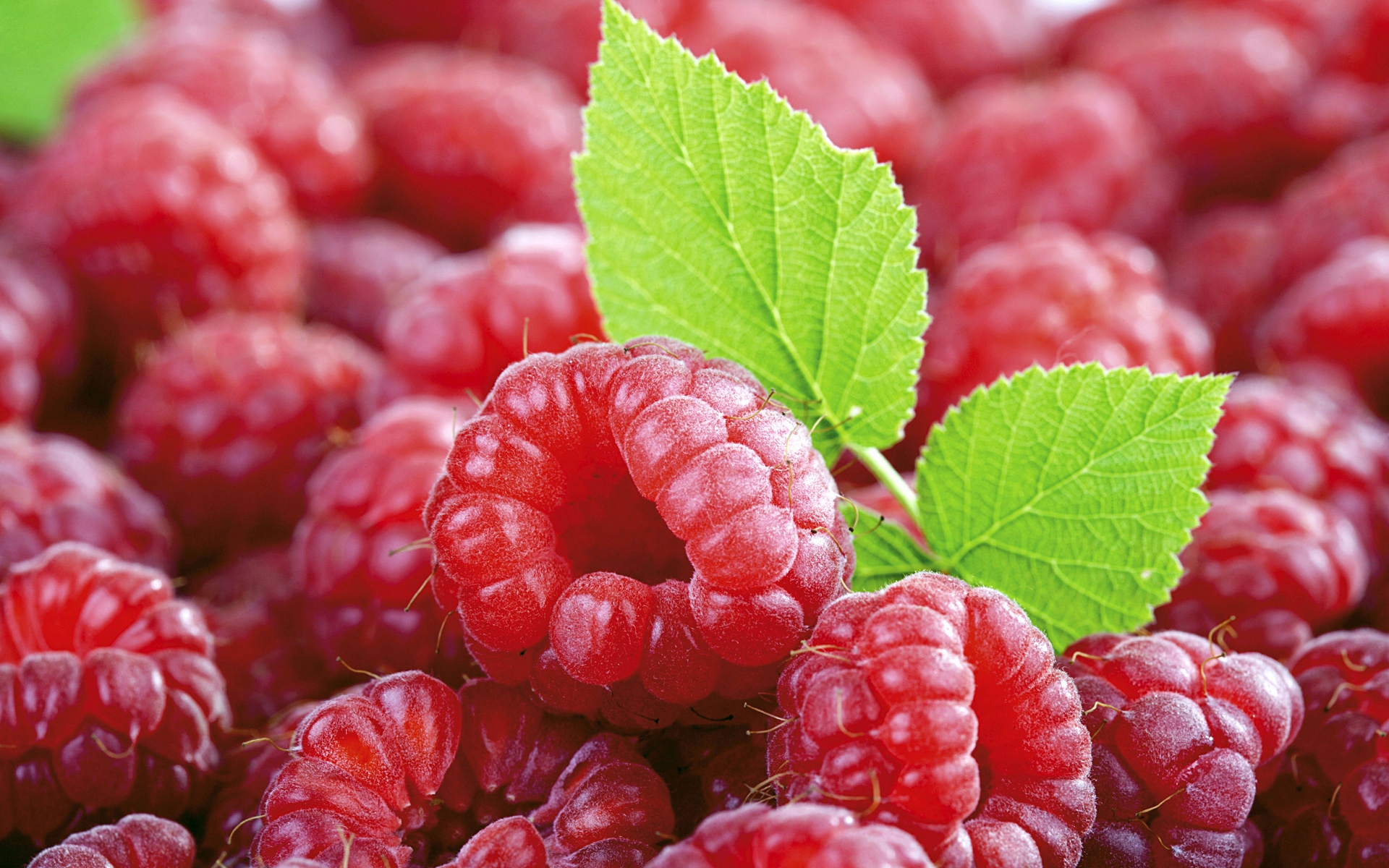 fruit wallpaper,natural foods,food,berry,raspberry,fruit