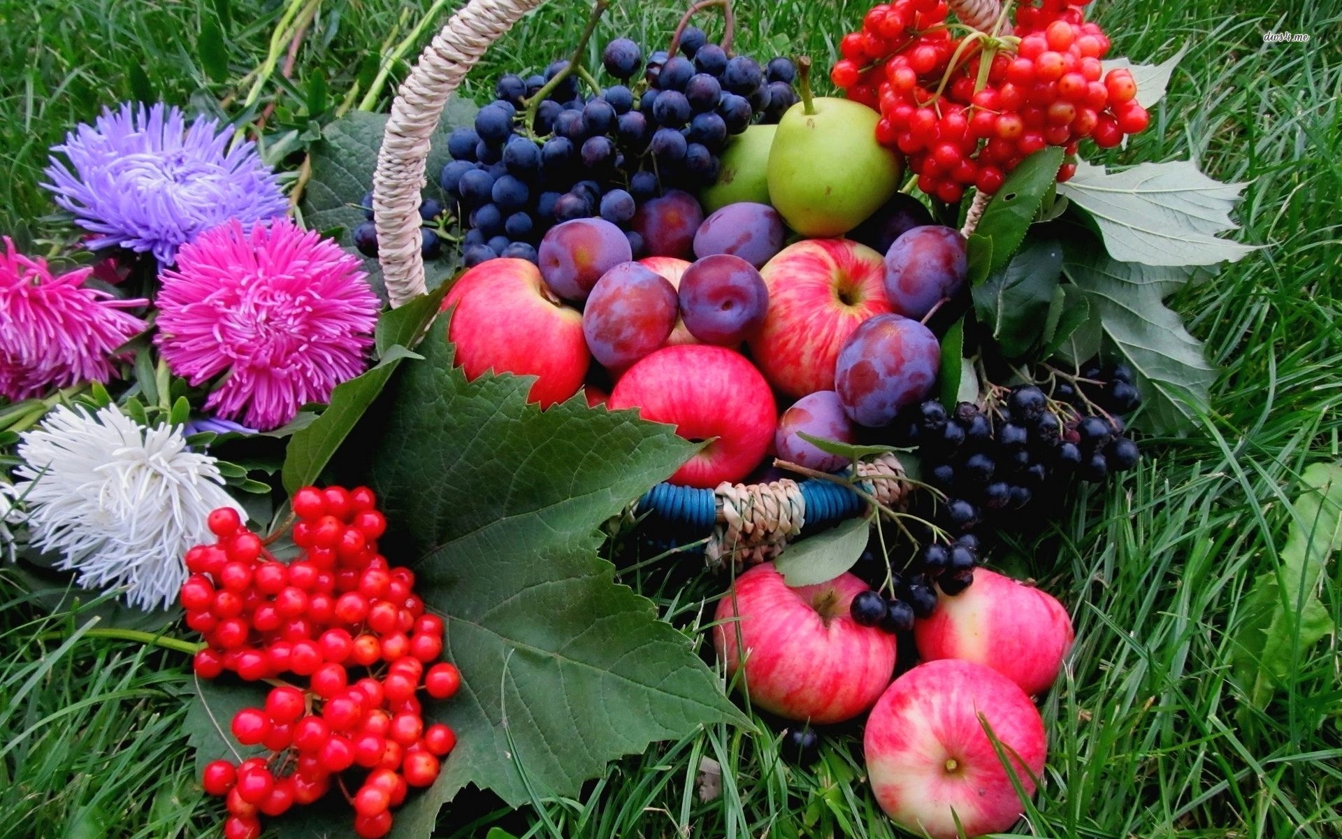 fruit wallpaper,natural foods,plant,fruit,berry,local food