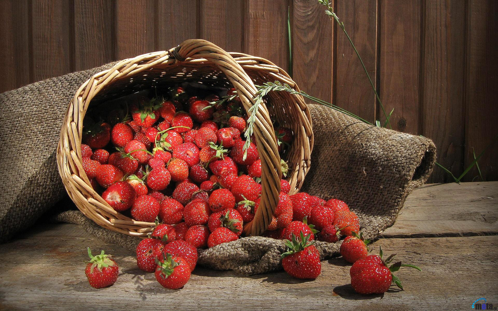 fond d'écran de fruits,aliments naturels,fruit,photographie de nature morte,fraise,plante