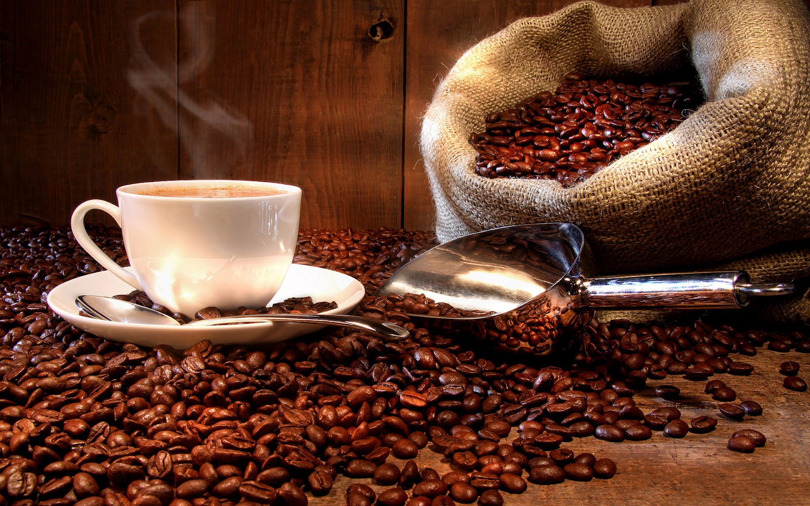 carta da parati caffè,caffeina,tazza,caffè monorigine,tazza di caffè,caffè java