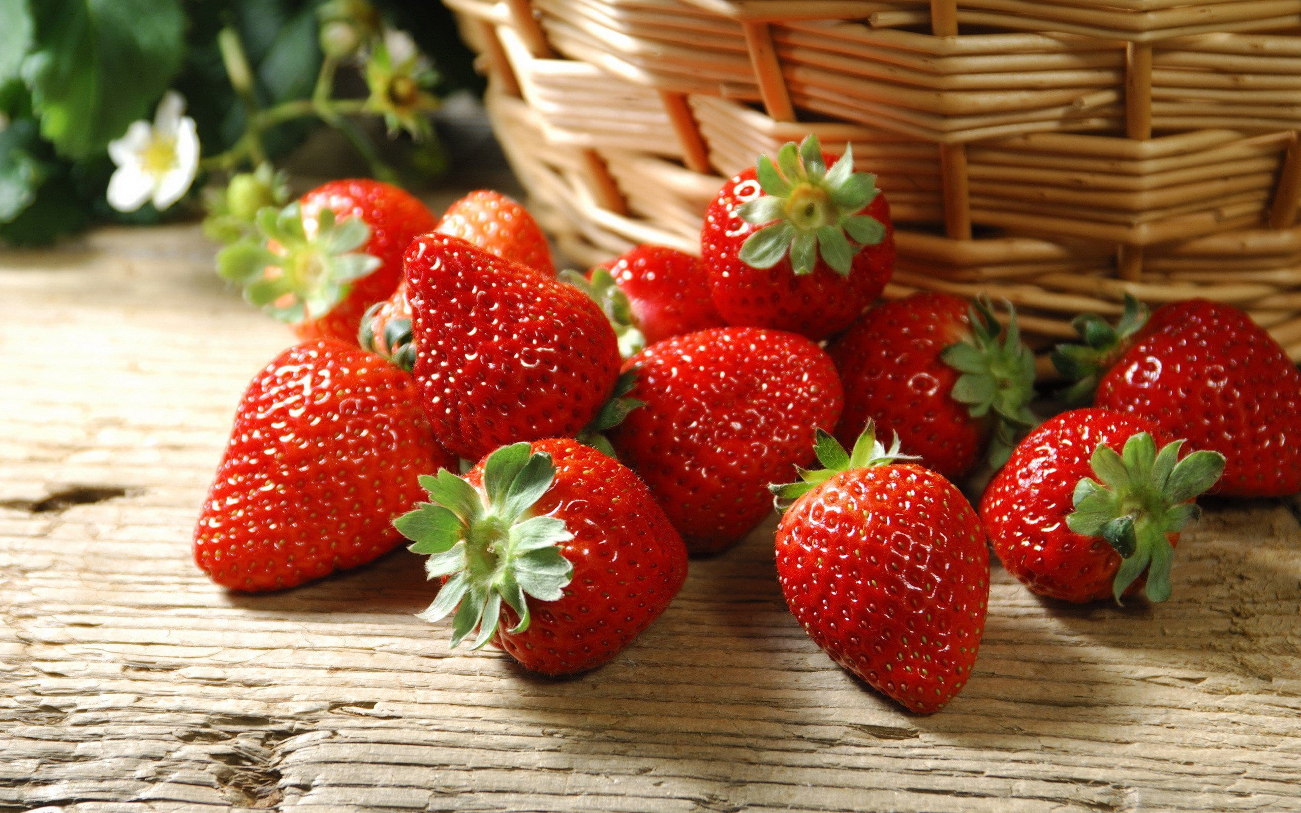 fond d'écran de fruits,aliments naturels,fraise,fruit,baie,aliments