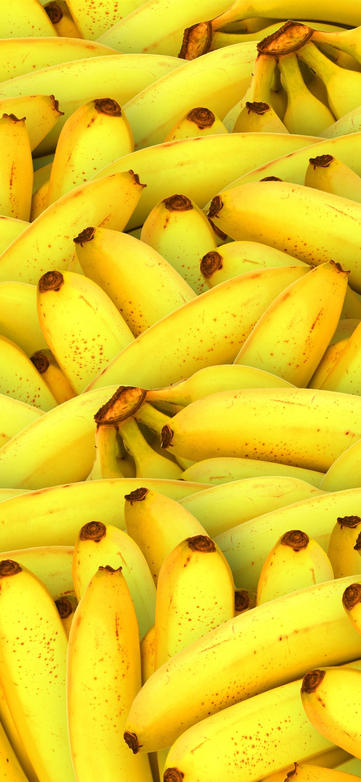 papel pintado de frutas,amarillo,plátano,familia bananera,comida,planta