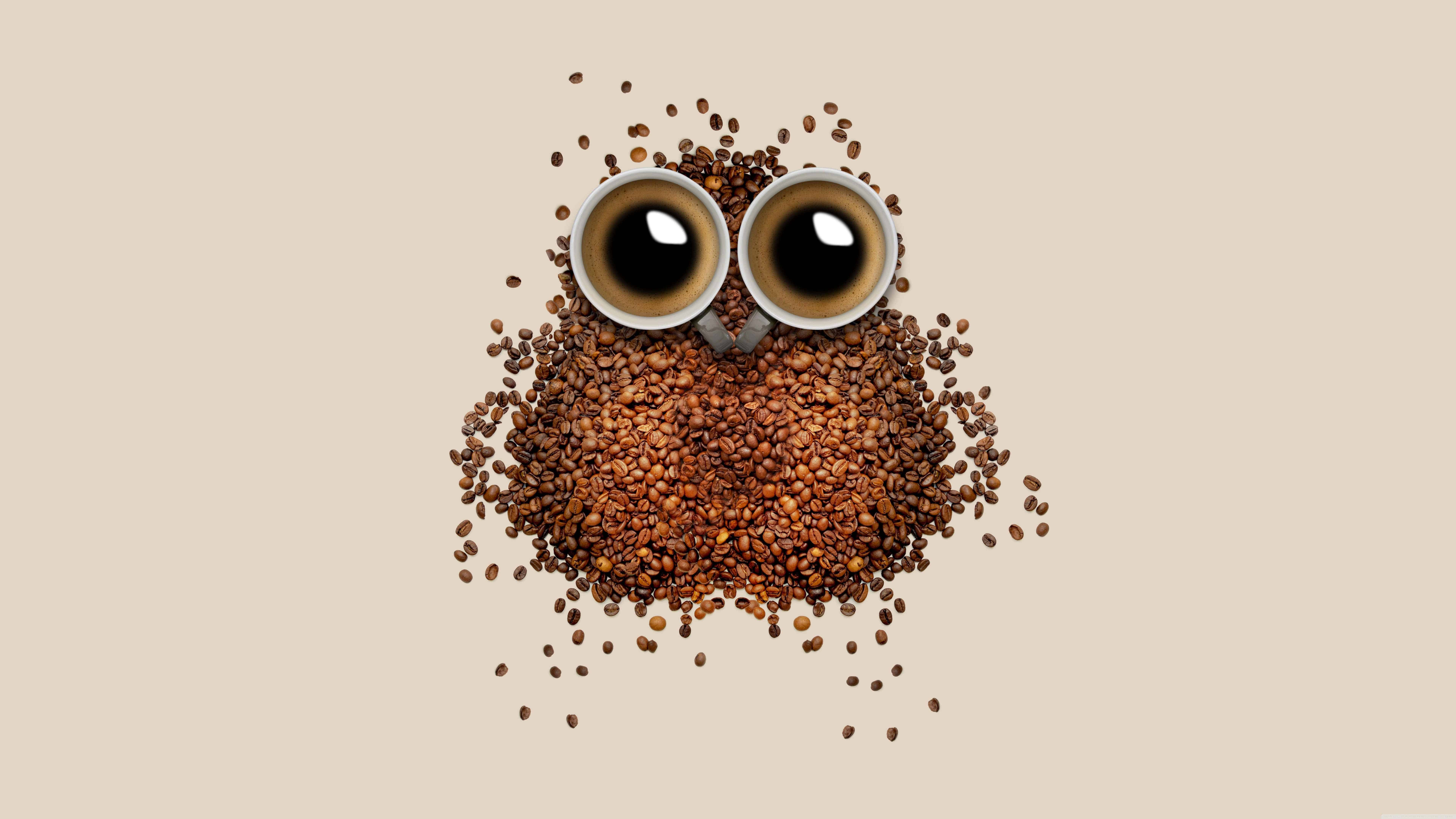 coffee wallpaper,owl,illustration,font,bird,animation