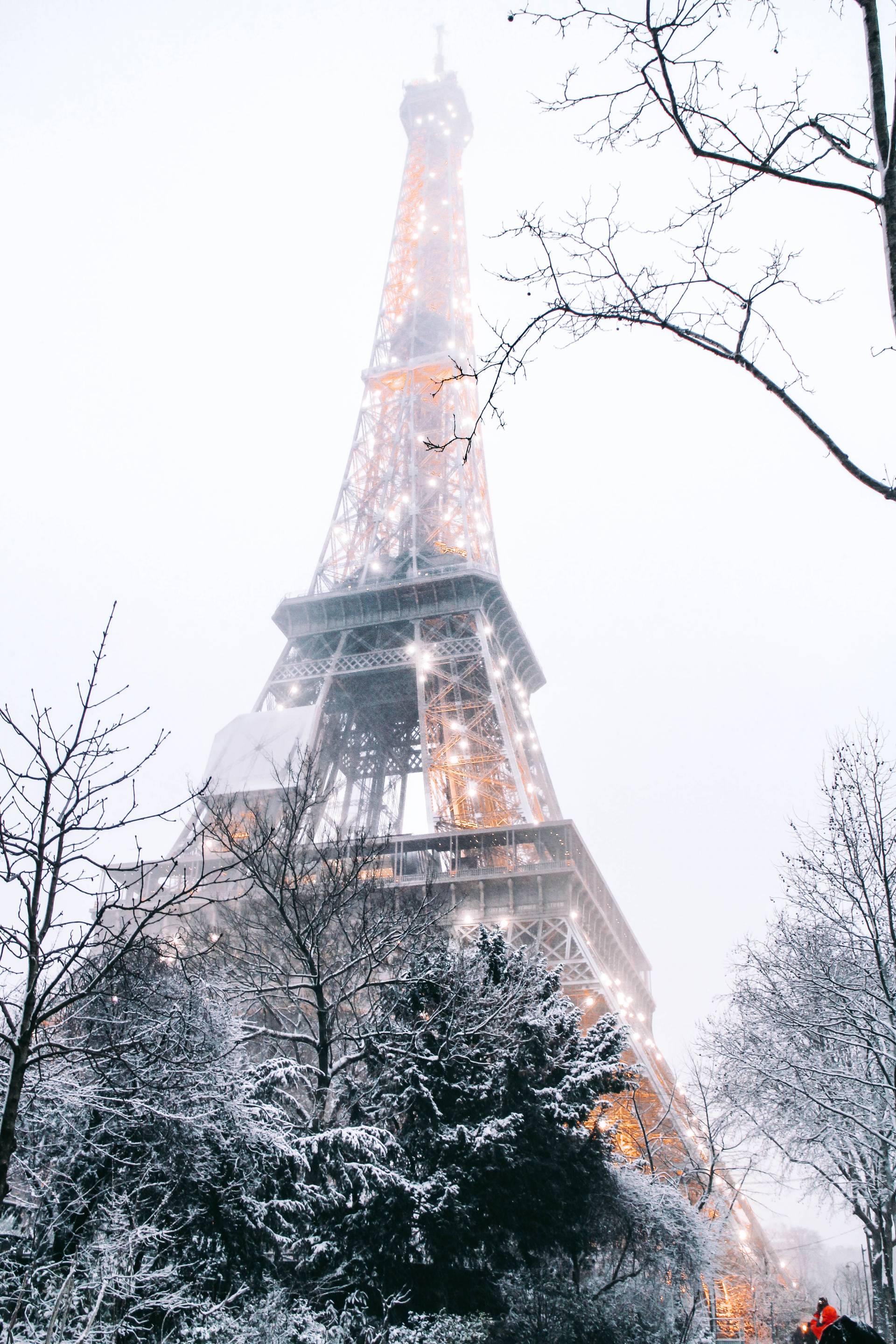 パリの壁紙,木,タワー,工場,冬,建物
