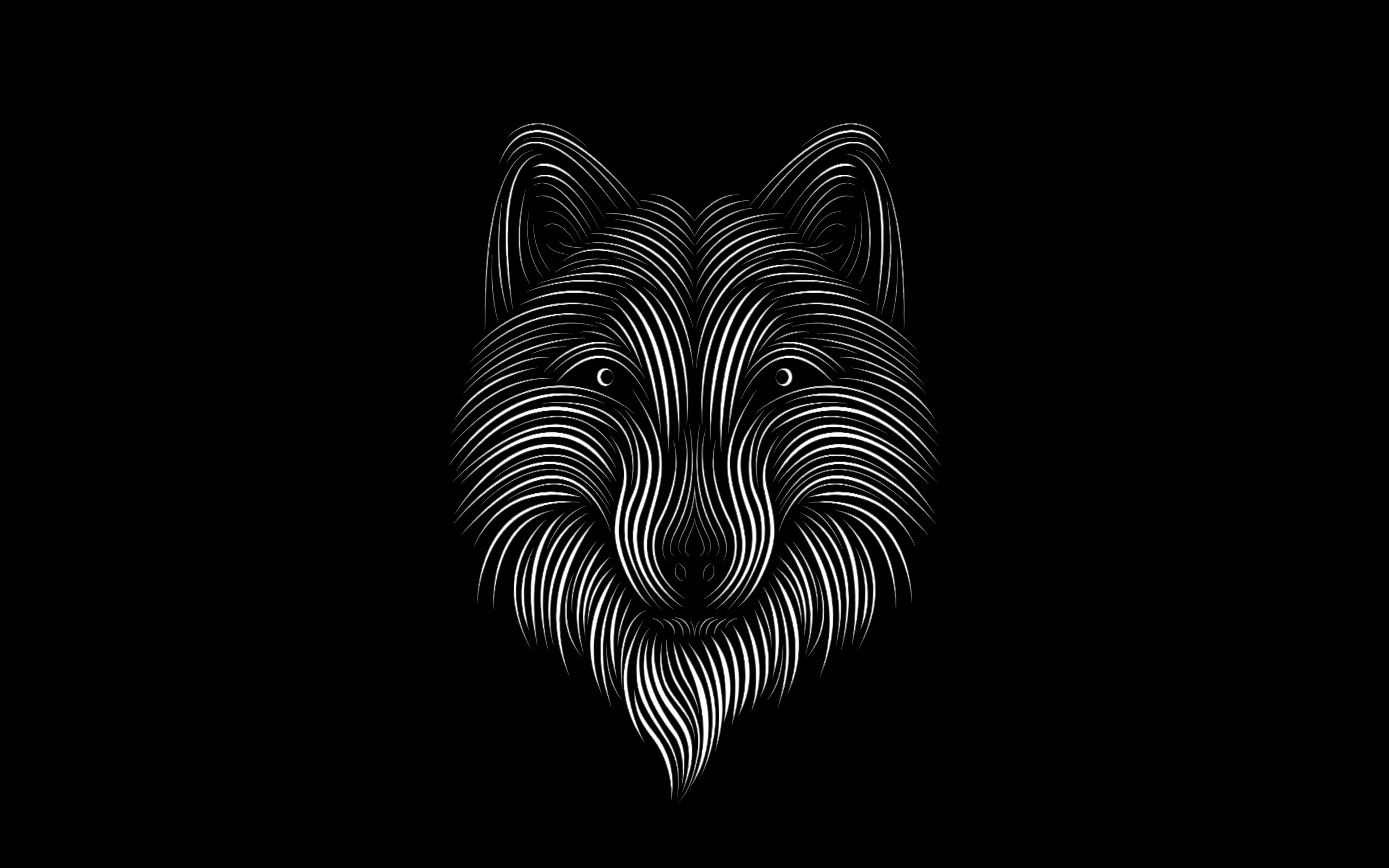 fond d'écran de renard,noir,noir et blanc,police de caractère,monochrome,illustration