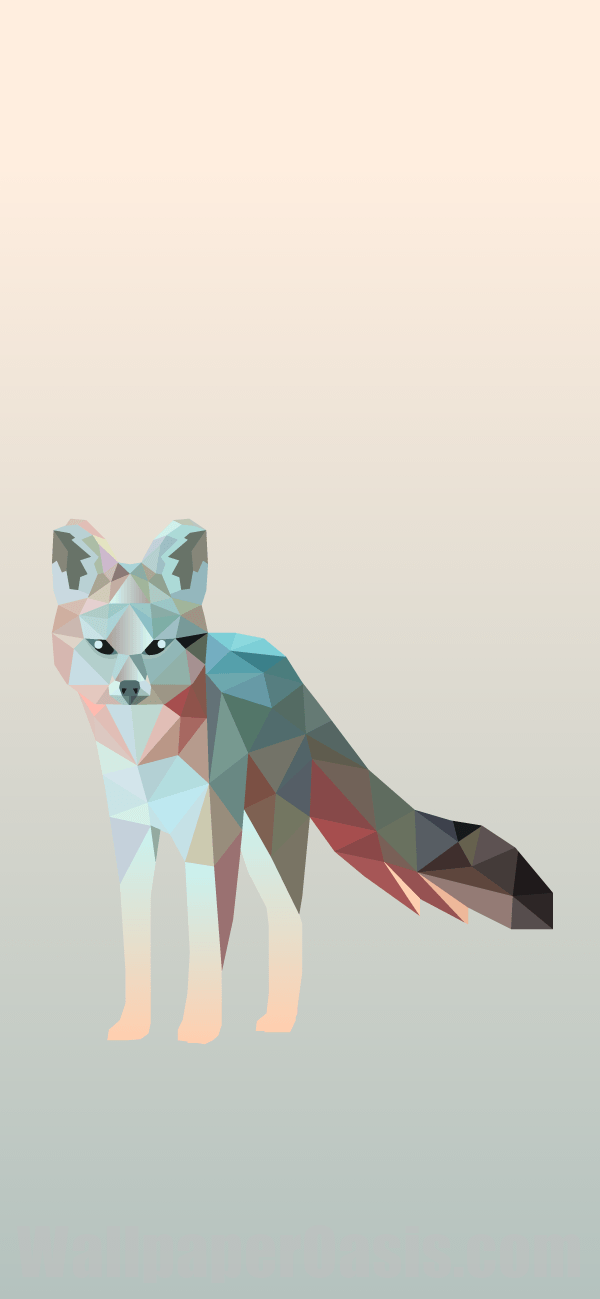 fox wallpaper,illustration,art,canidae,tail,fox
