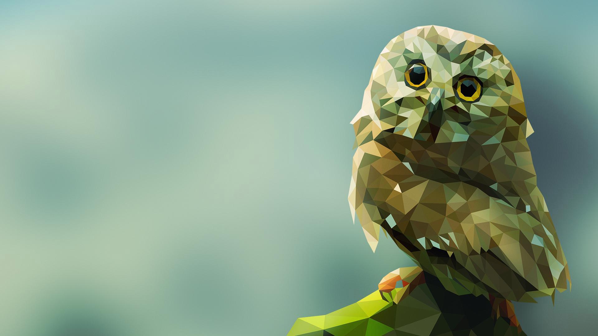 owl wallpaper,owl,bird,bird of prey,beak,adaptation