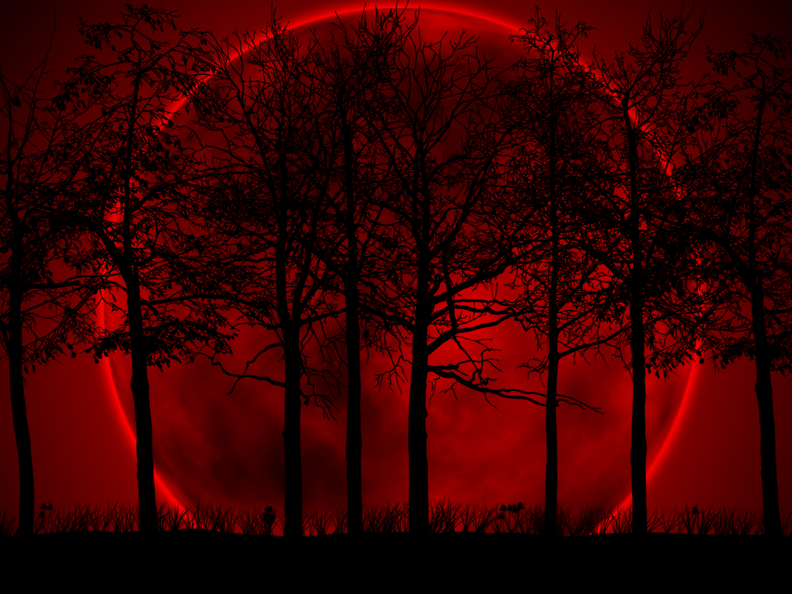 fond d'écran noir et rouge,rouge,ciel rouge au matin,la nature,ciel,arbre