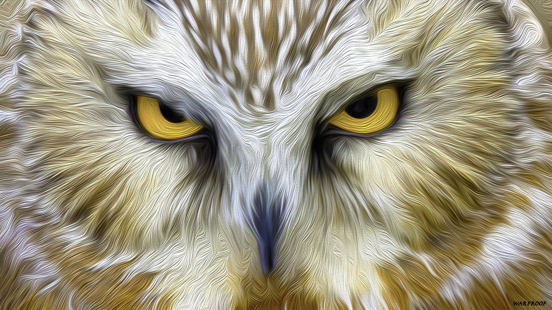 owl wallpaper,owl,bird of prey,bird,close up,eye