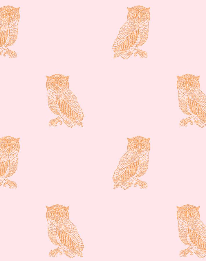 owl wallpaper,yellow,beige,pattern,wallpaper,font