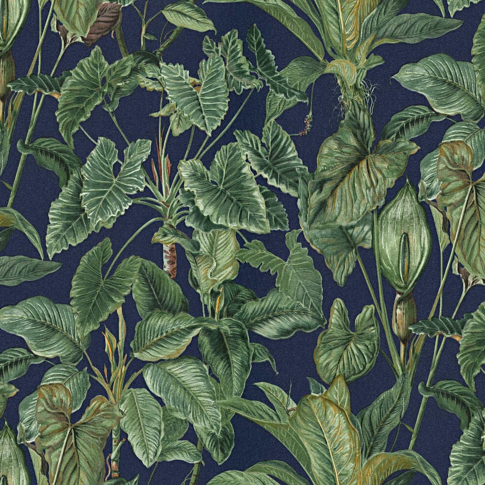 leaf wallpaper,leaf,flower,plant,botany,flowering plant