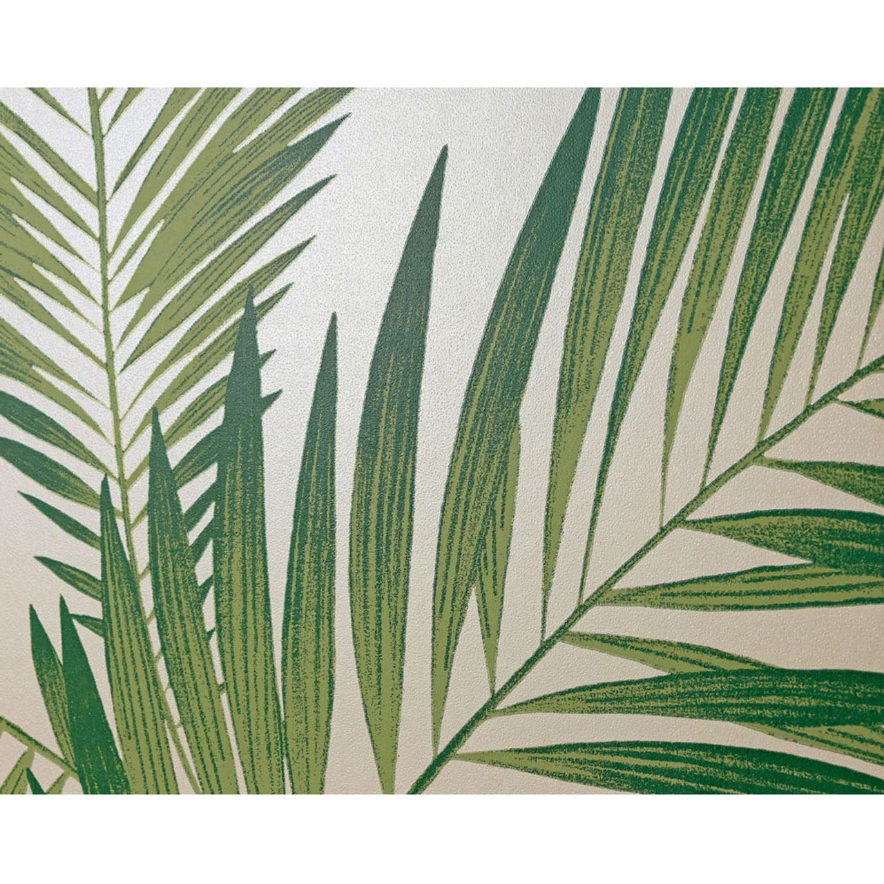 leaf wallpaper,leaf,plant,tree,arecales,palm tree