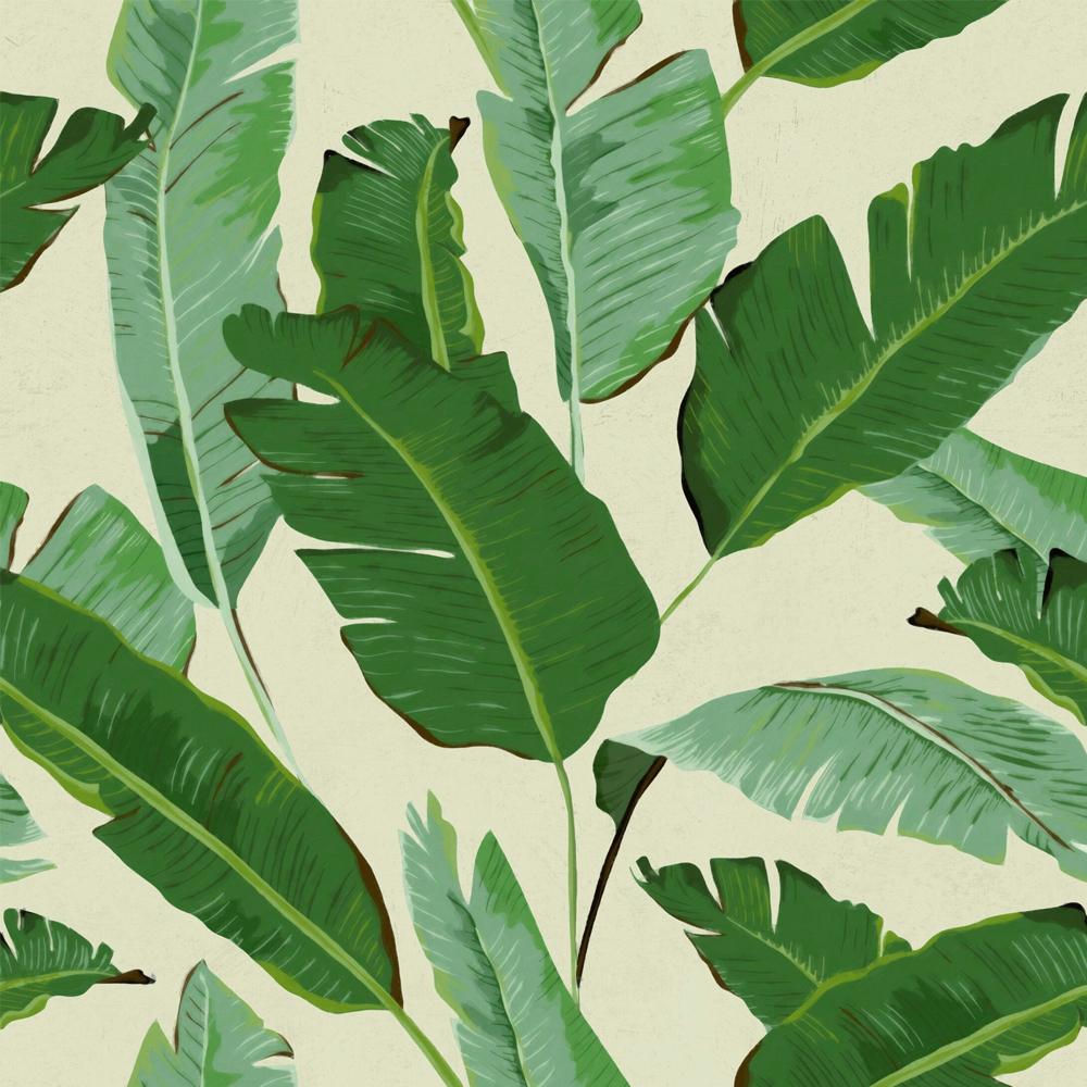leaf wallpaper,leaf,plant,flower,tree,woody plant