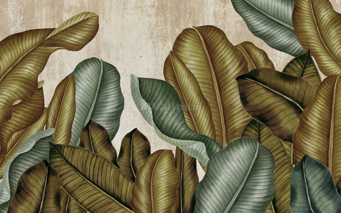 leaf wallpaper,leaf,plant,botany,organism,pattern