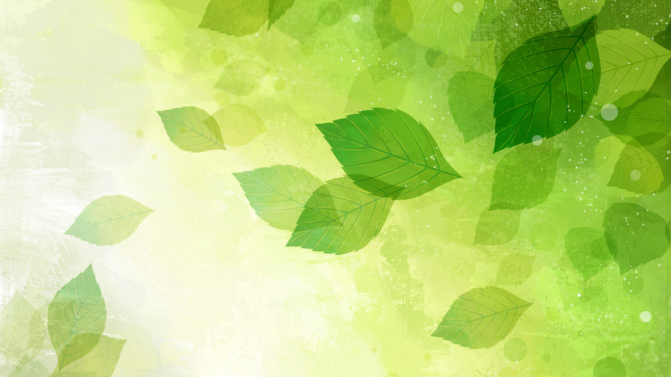 leaf wallpaper,green,leaf,illustration,pattern,plant