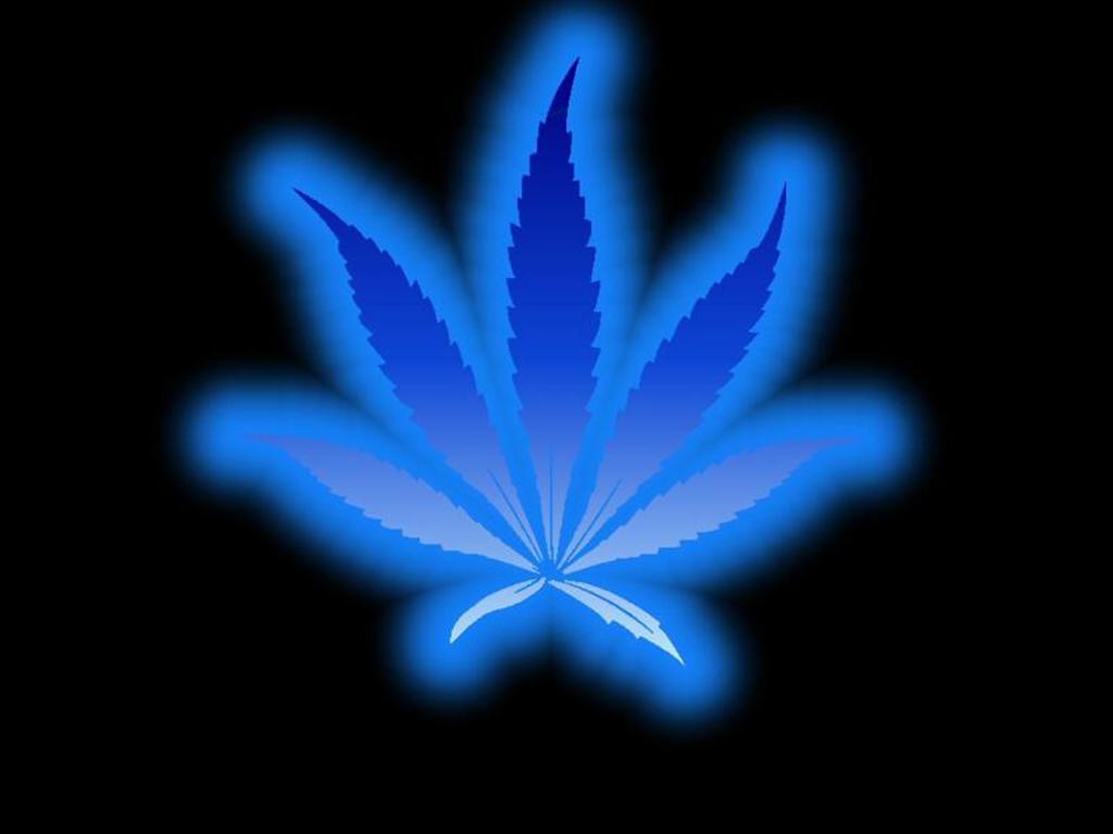 leaf wallpaper,blue,leaf,light,electric blue,plant