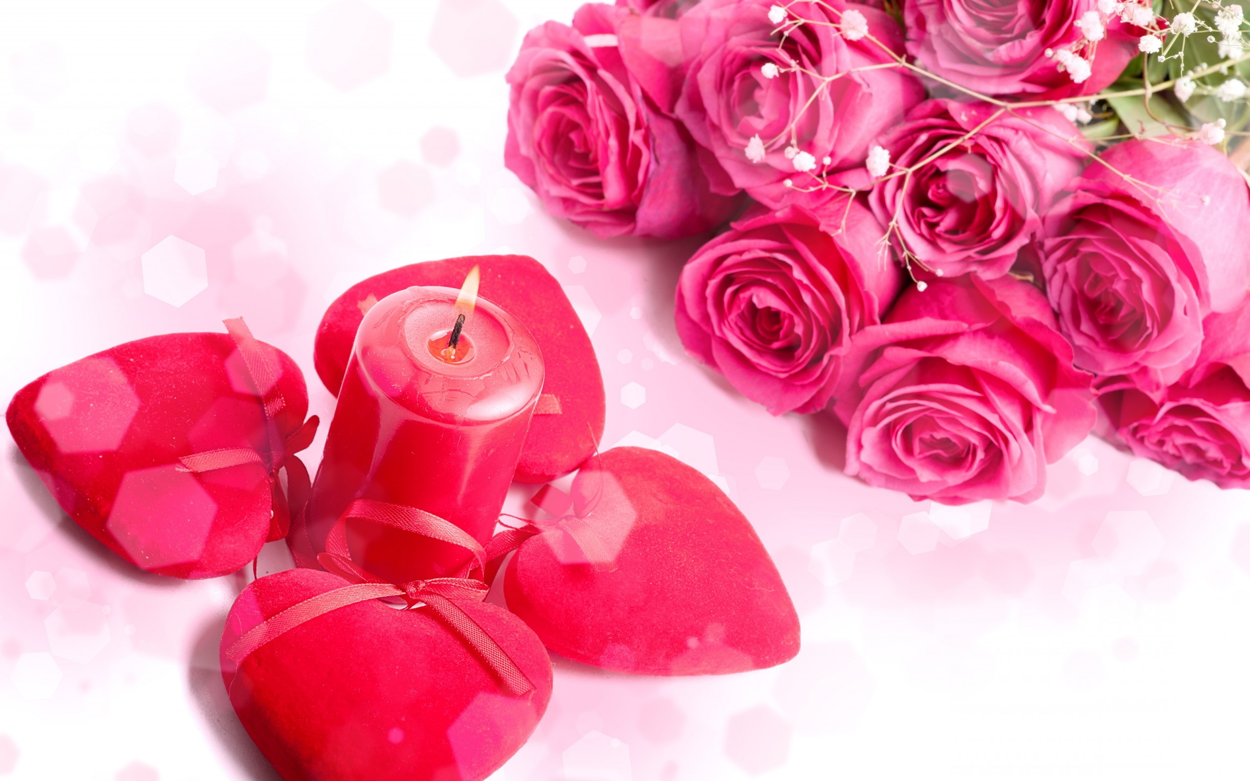 nuovo sfondo 2017,rosa,rosso,rosa,petalo,rose da giardino