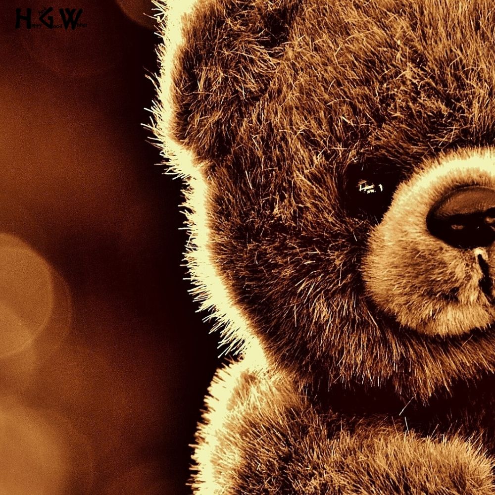 teddy bear wallpaper,brown bear,teddy bear,nose,snout,terrestrial animal