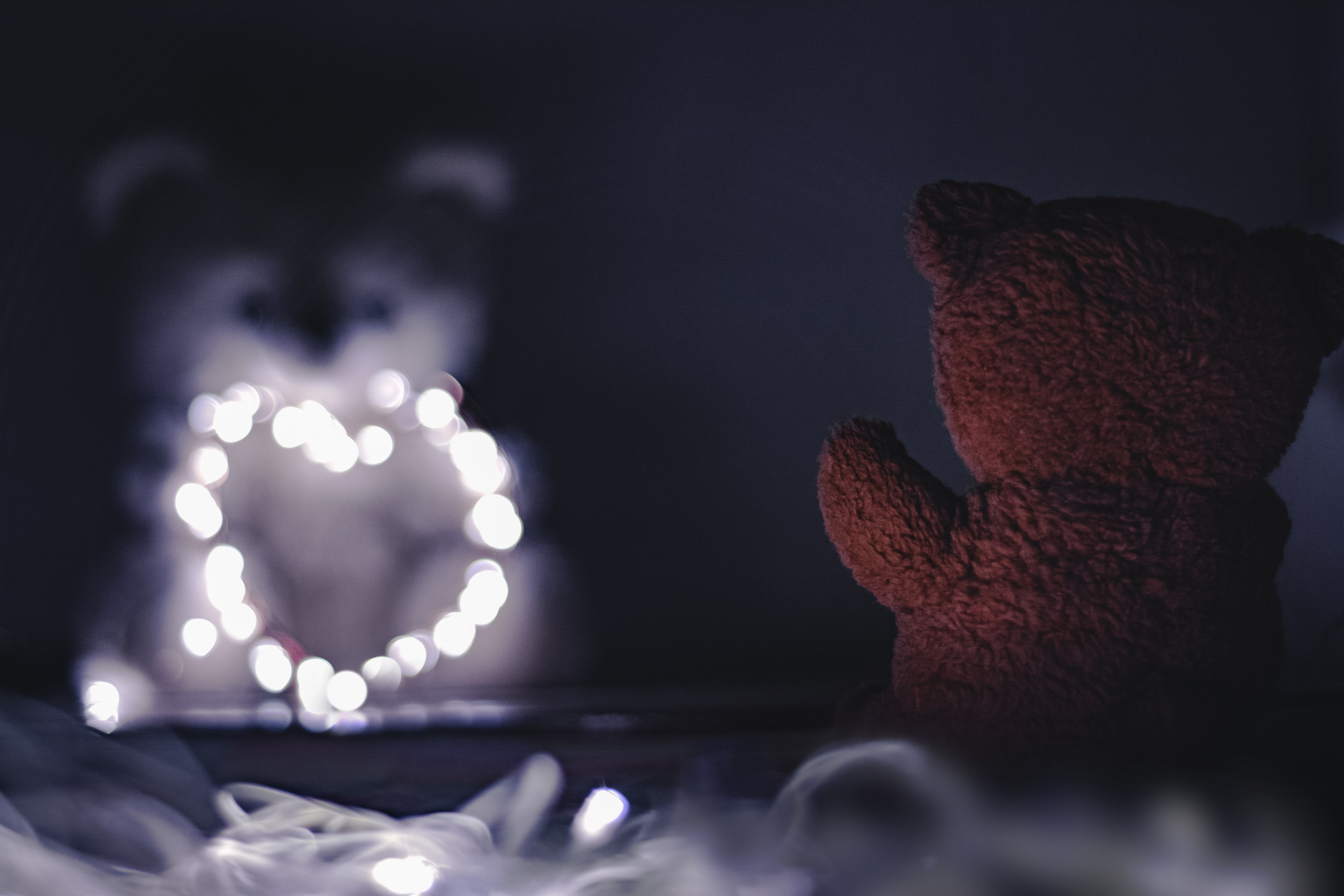 teddy bear wallpaper,light,sky,cloud,night,photography