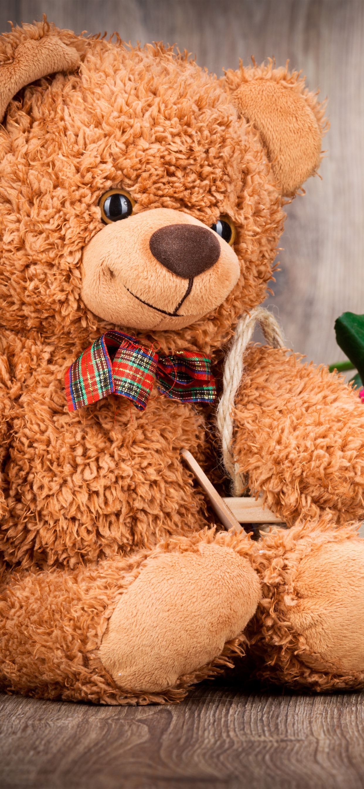 teddy bear wallpaper,teddy bear,stuffed toy,toy,plush,bear