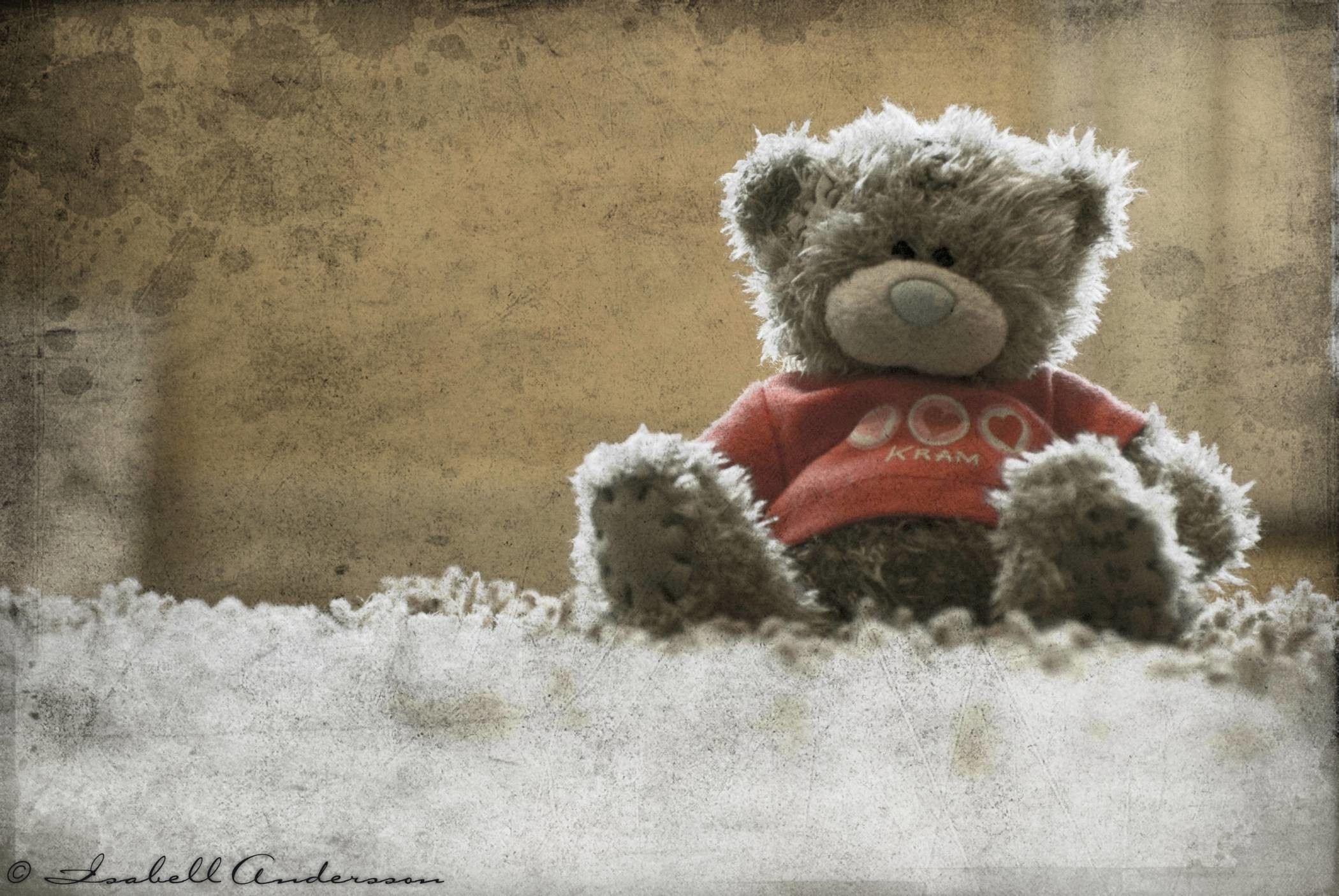 teddy bear wallpaper,teddy bear,toy,stuffed toy,adaptation,bear