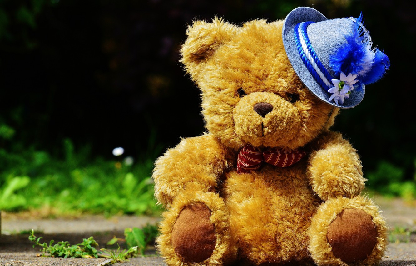 teddy bear wallpaper,teddy bear,toy,stuffed toy,bear,yellow
