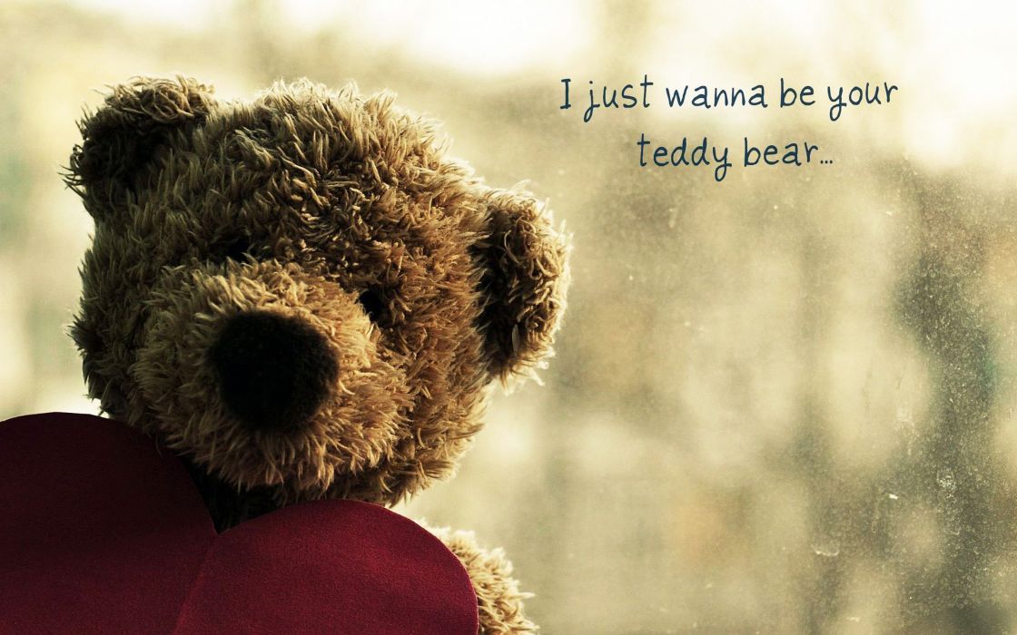 teddybär tapete,teddybär,schnauze,spielzeug,plüschtier,schriftart