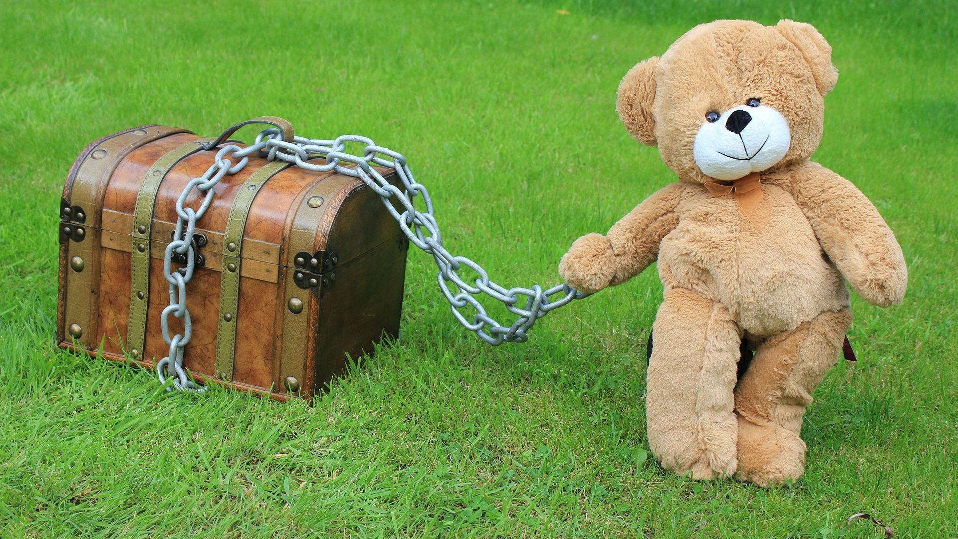 teddy bear wallpaper,teddy bear,drum,grass,stuffed toy,membranophone