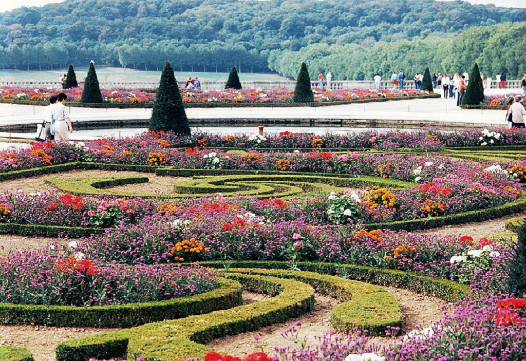 gartentapete,garten,botanischer garten,blume,pflanze,frühling