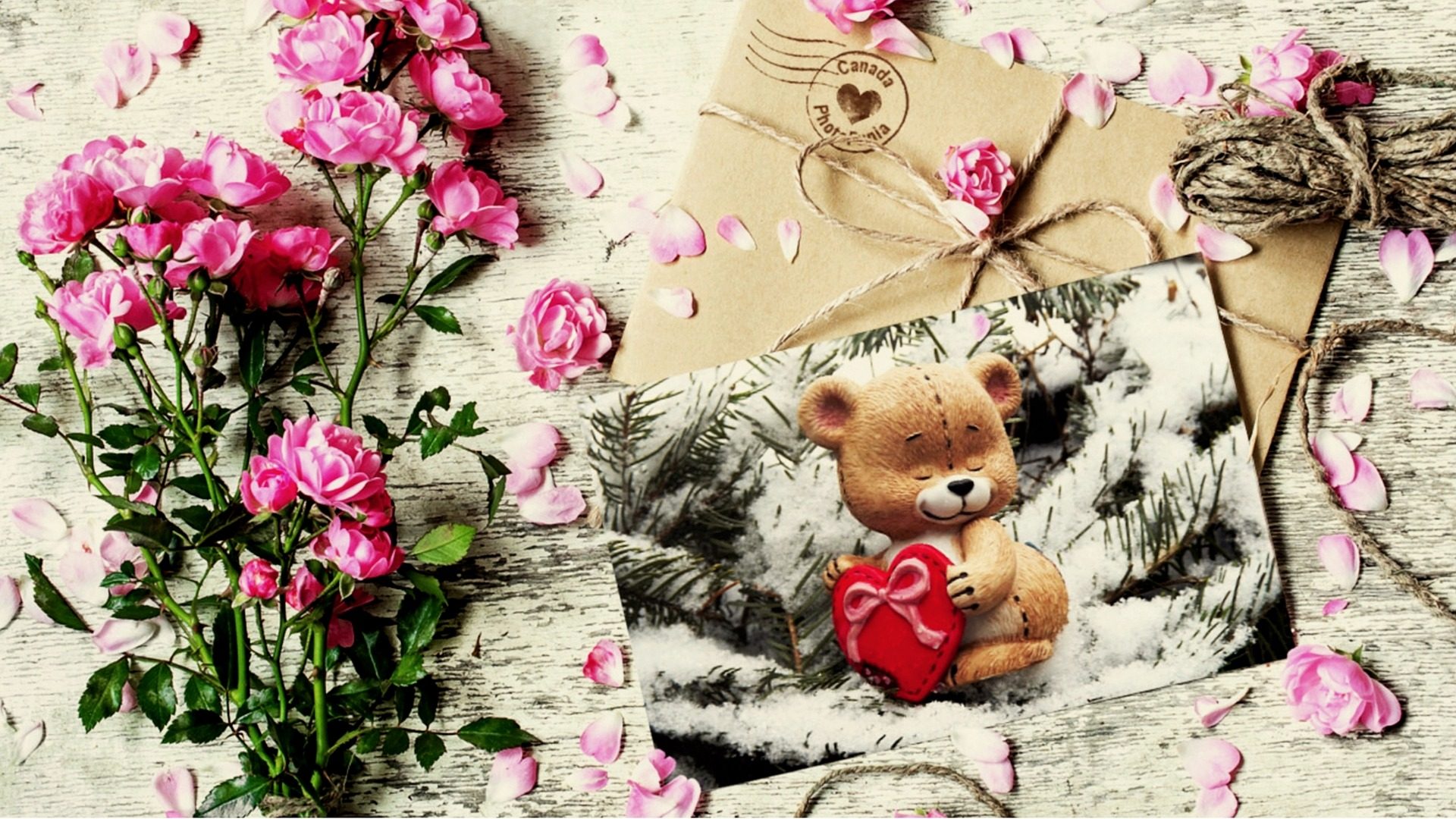 carta da parati dell'orsacchiotto,rosa,fiore,orsacchiotto di peluche,pianta,petalo