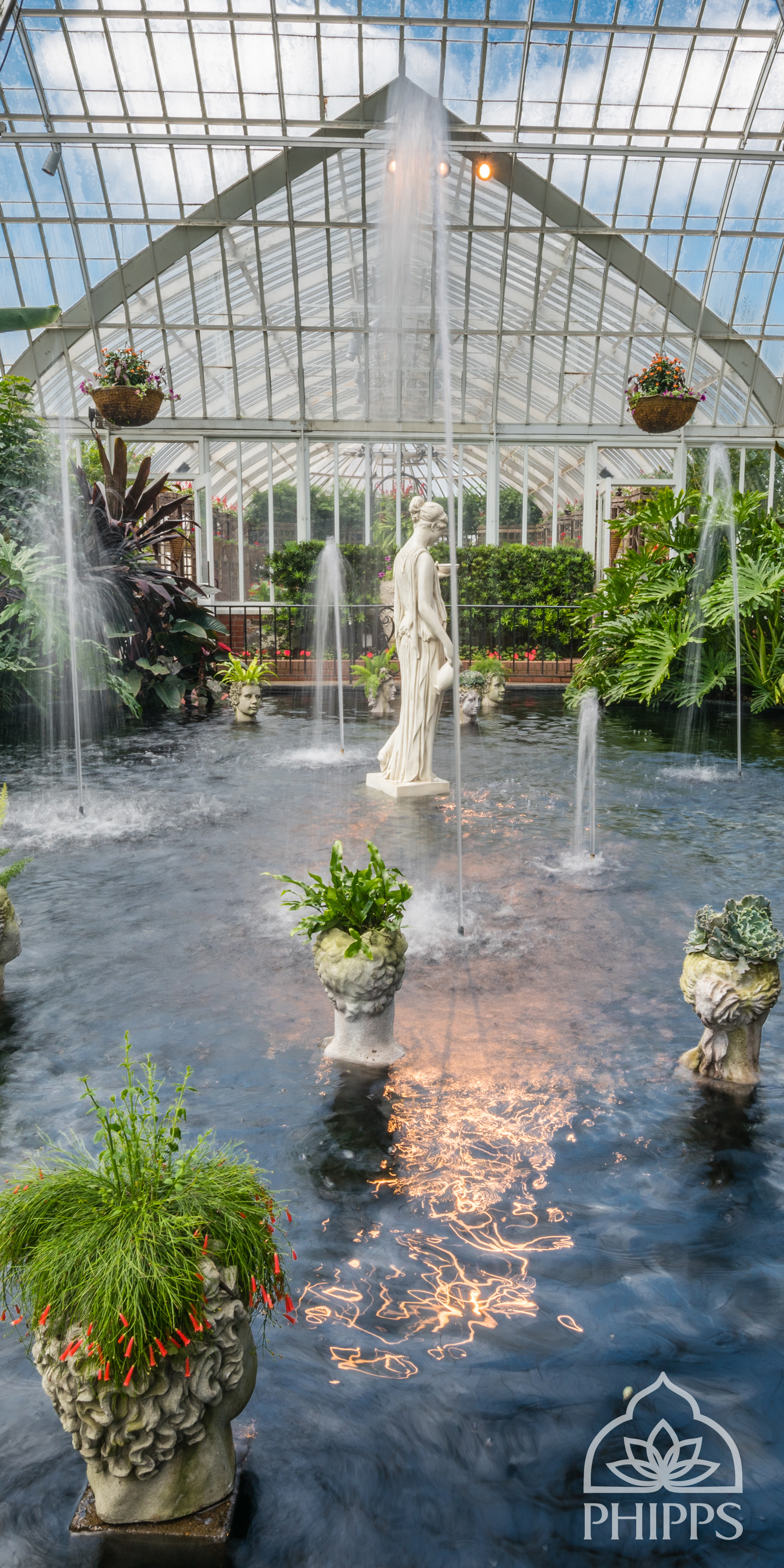 gartentapete,botanischer garten,gewächshaus,wasserspiel,garten,wasser