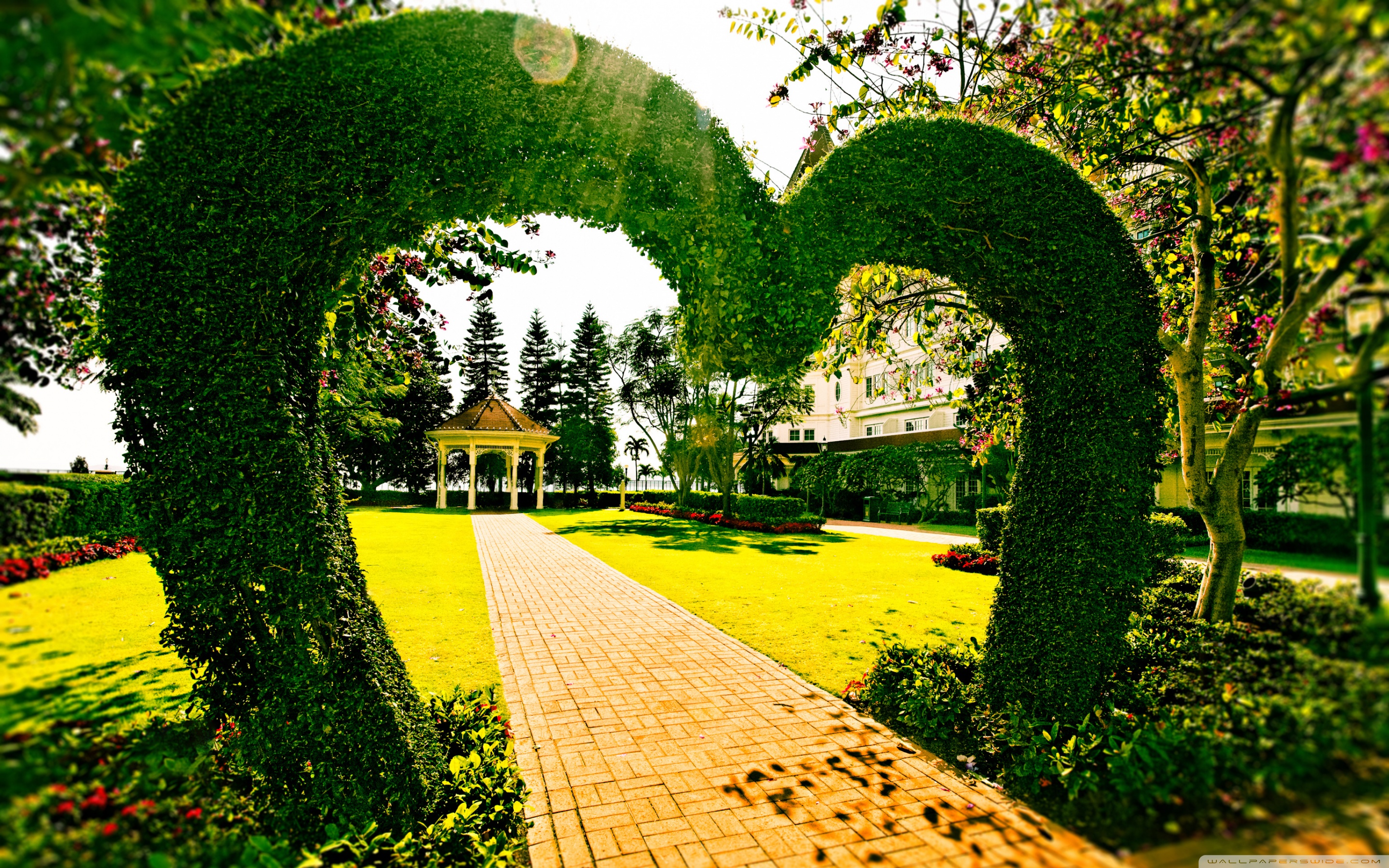 carta da parati da giardino,arco,natura,verde,giardino,erba