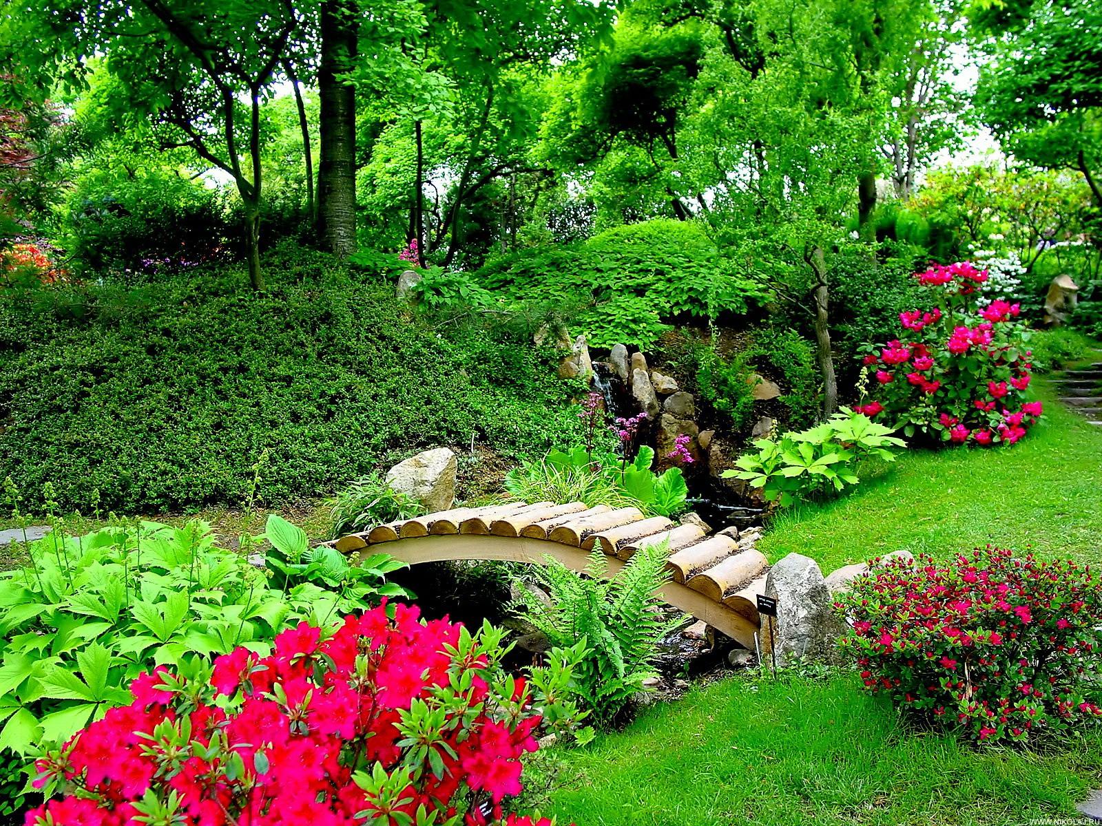 garden wallpaper,garden,natural landscape,botanical garden,nature,vegetation