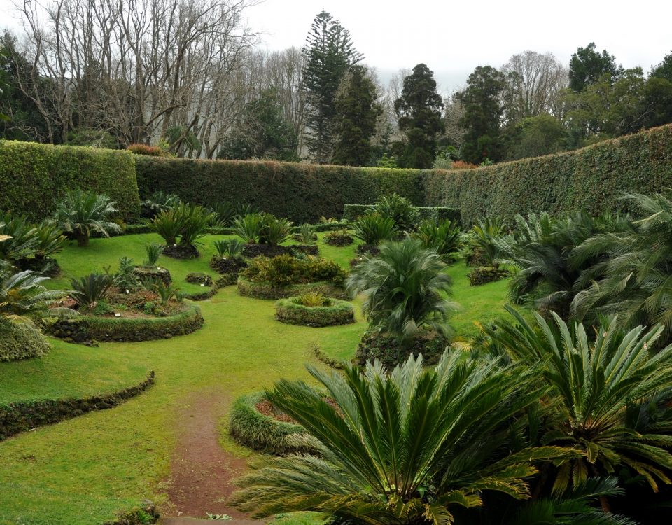 papier peint de jardin,jardin,jardin botanique,paysage naturel,la nature,herbe