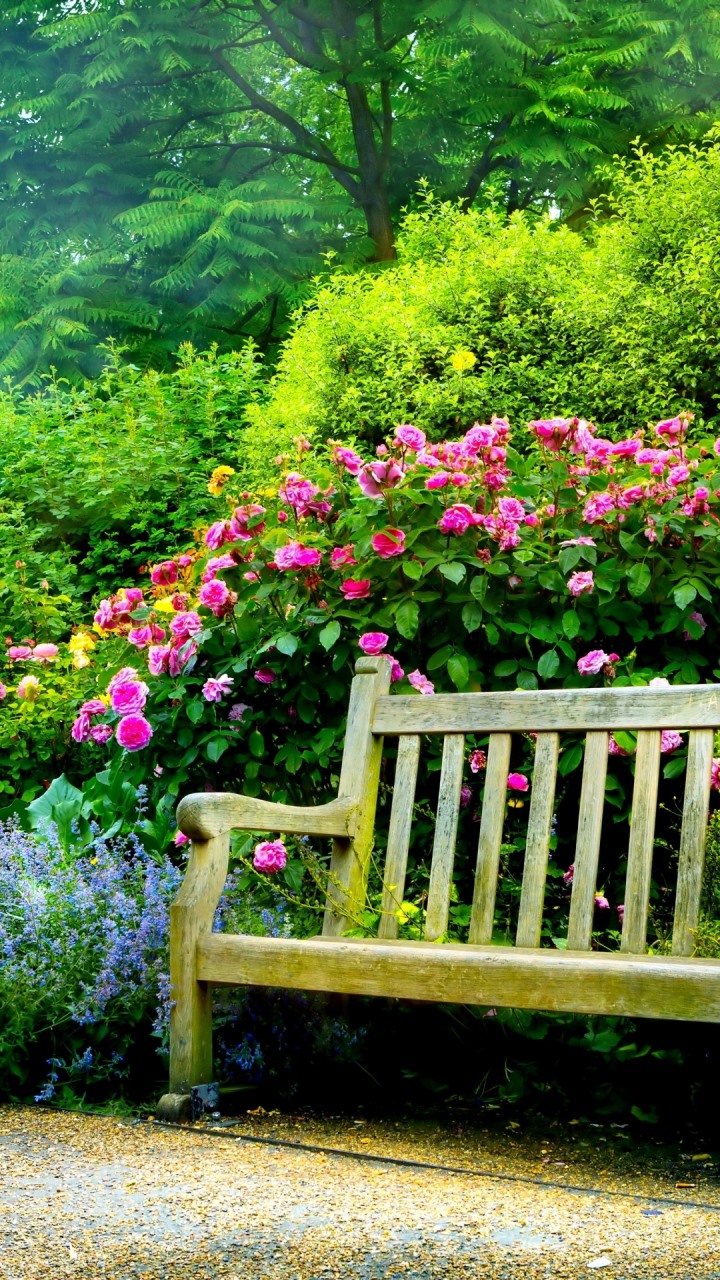 garden wallpaper,bench,flower,nature,garden,plant