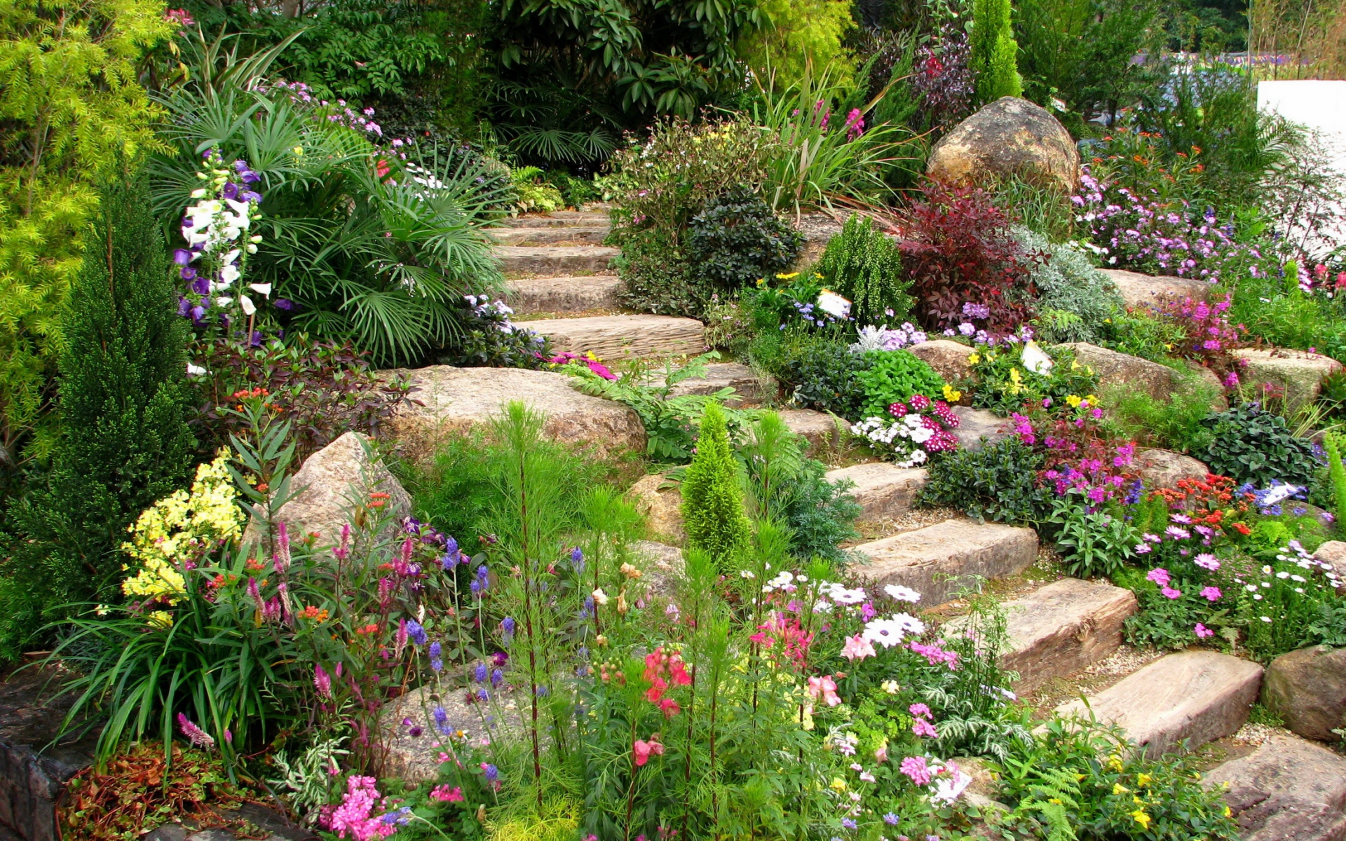 garden wallpaper,garden,yard,nature,flower,natural landscape