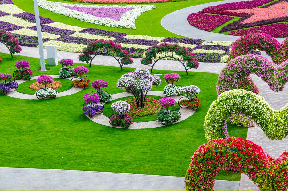 정원 벽지,정원,식물원,잔디,식물,꽃
