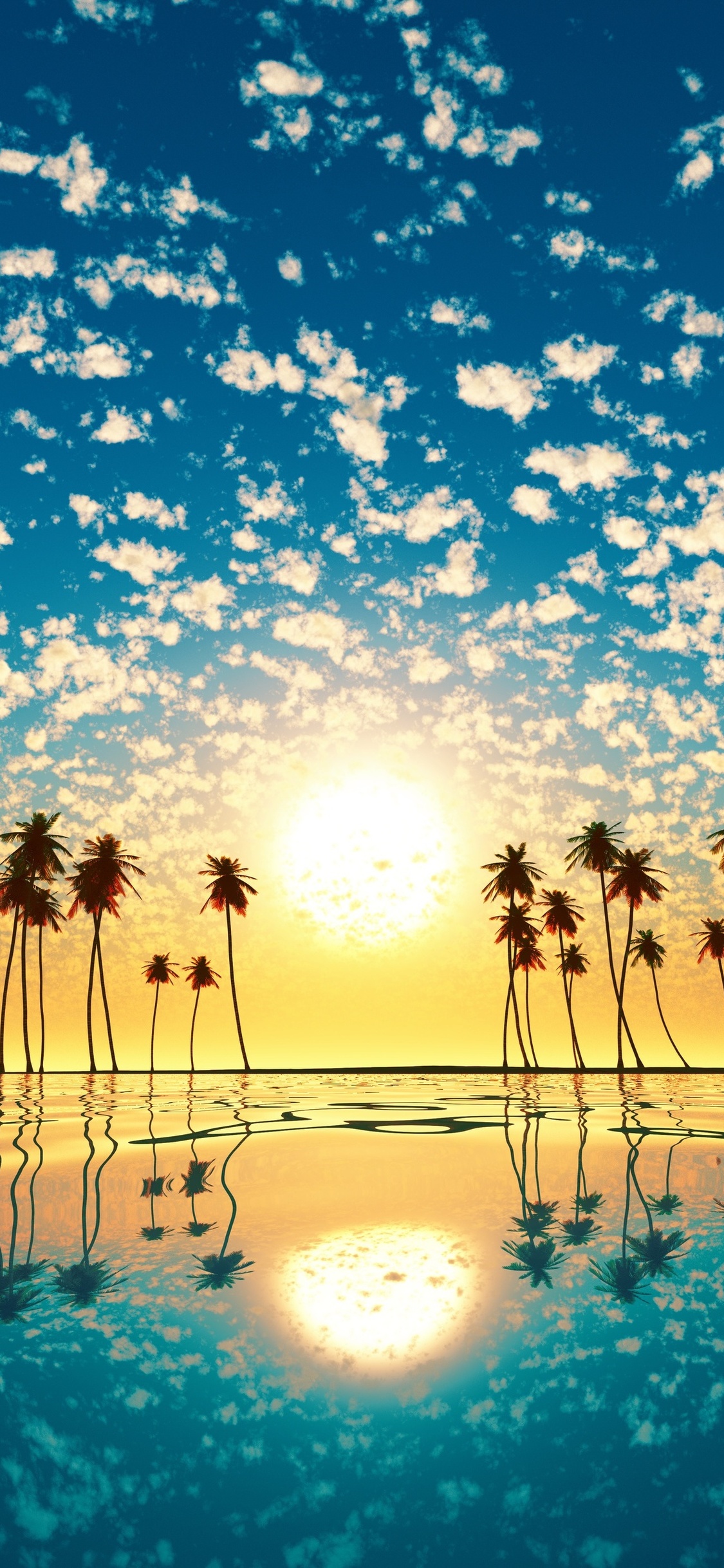 papier peint palmier,ciel,la nature,paysage naturel,le coucher du soleil,palmier