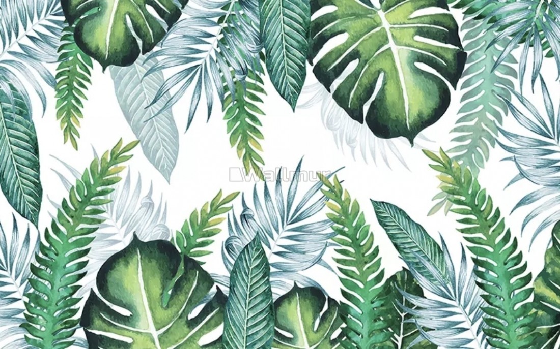 palm tree wallpaper,leaf,plant,vegetation,terrestrial plant,green