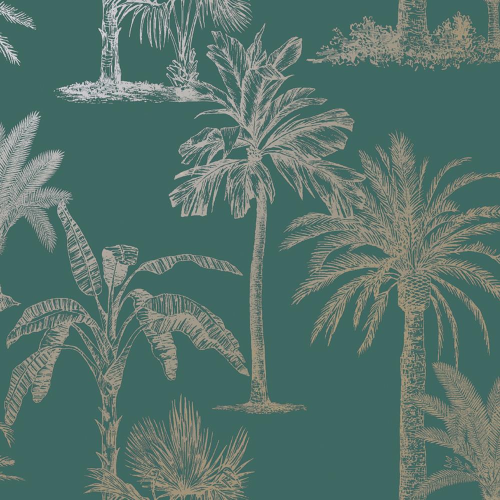 carta da parati palma,palma,albero,pianta,palma da dattero,attalea speciosa