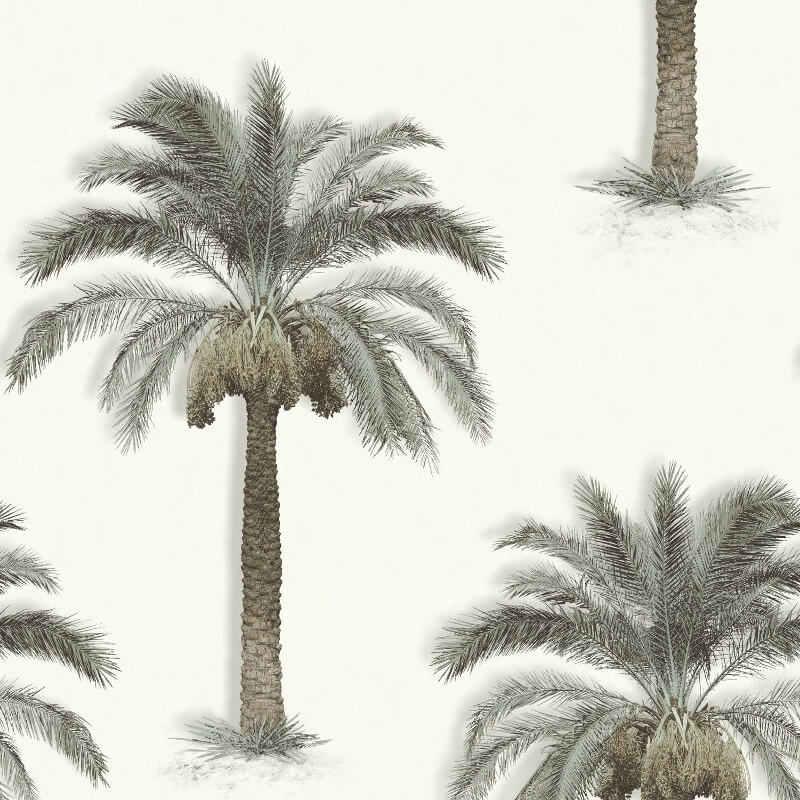 papier peint palmier,arbre,palmier dattier,palmier,attalea speciosa,plante