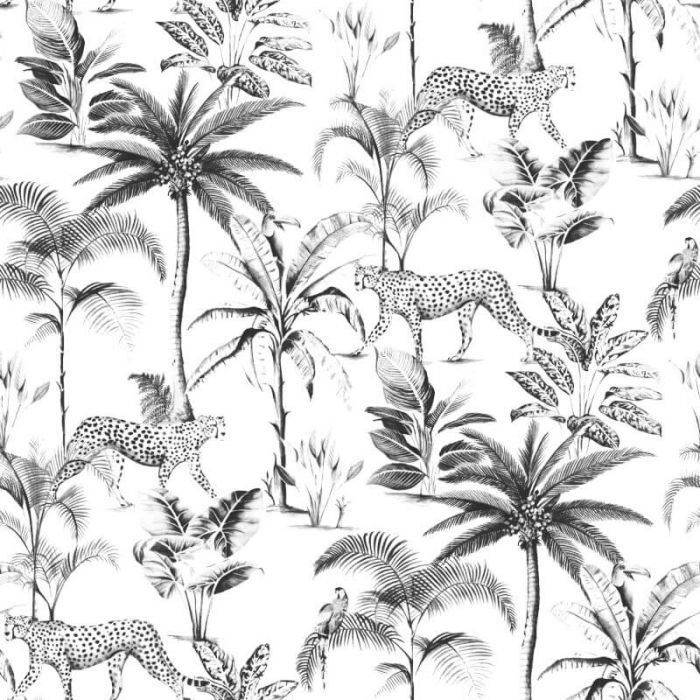 fondo de pantalla de palmera,planta,hoja,tallo de la planta,modelo,flor