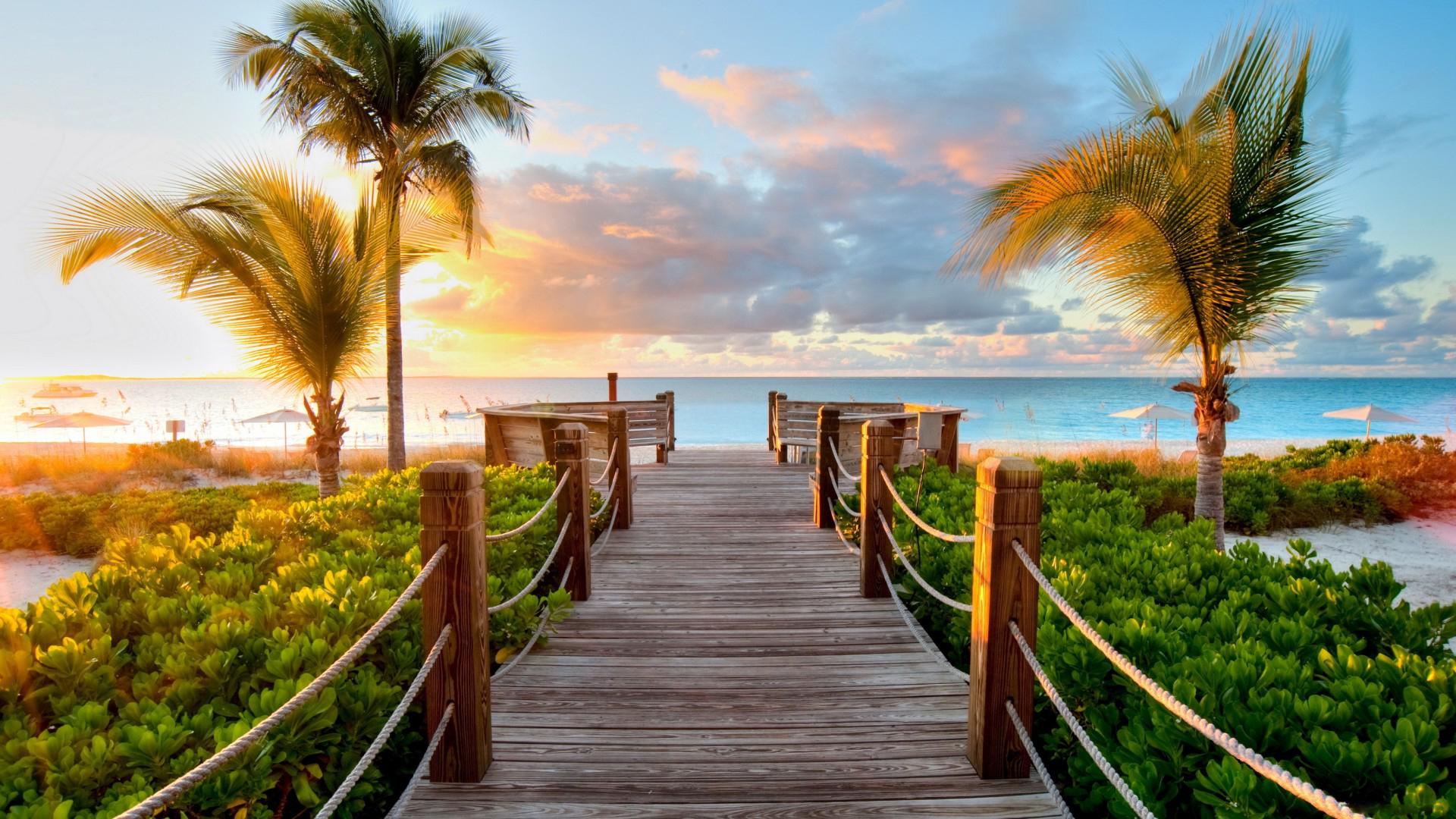 fondo de pantalla de palmera,naturaleza,cielo,árbol,paisaje natural,oceano