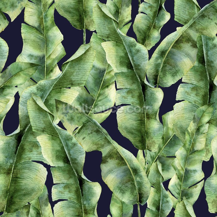 palm tree wallpaper,leaf,plant,vascular plant,flower,fern