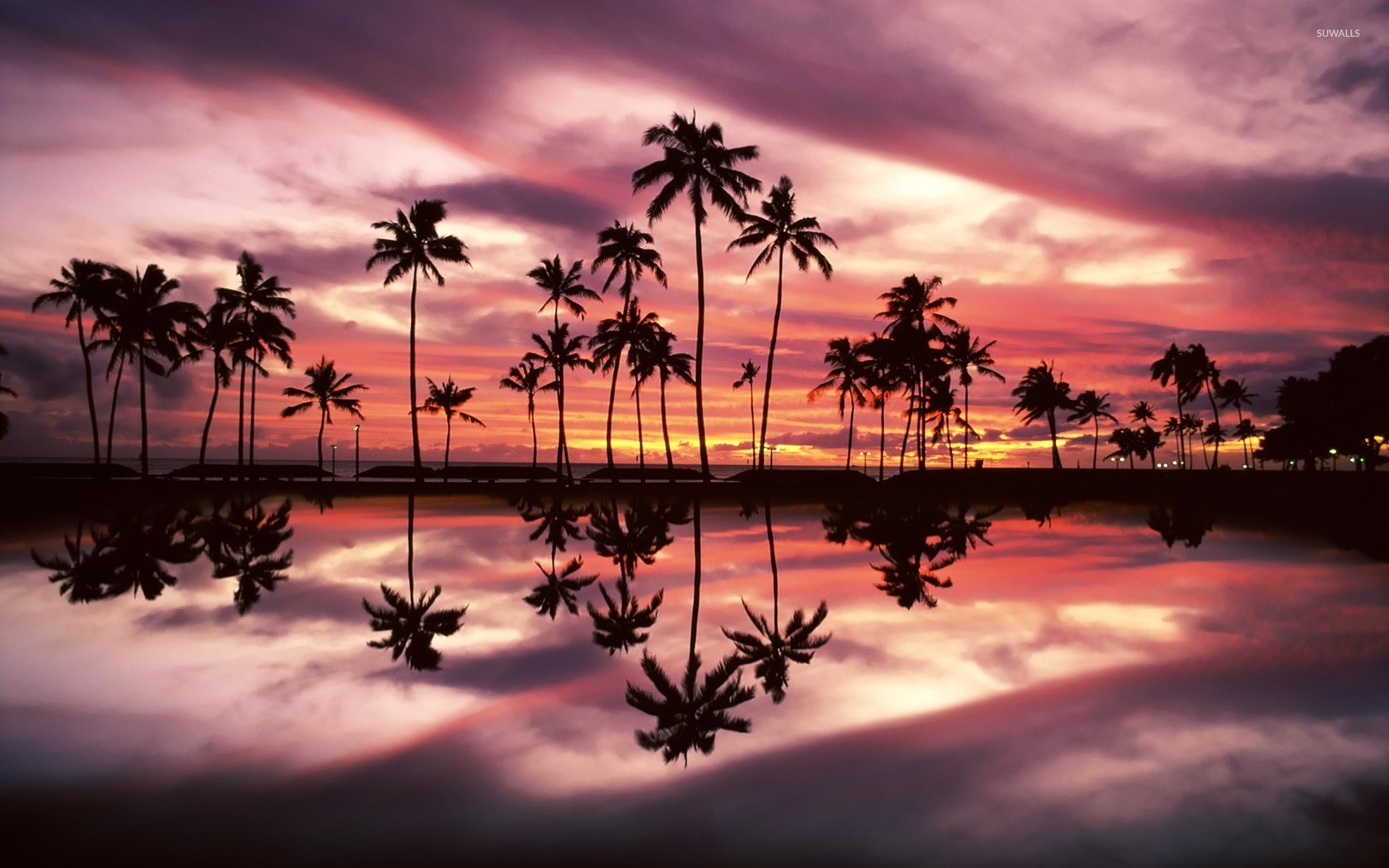 palm tree wallpaper,sky,nature,sunset,tropics,reflection