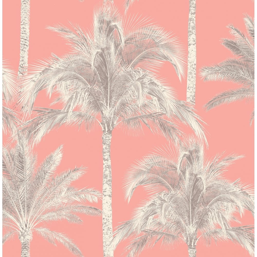 Palm Tree Wallpaper Uk WallpaperUse