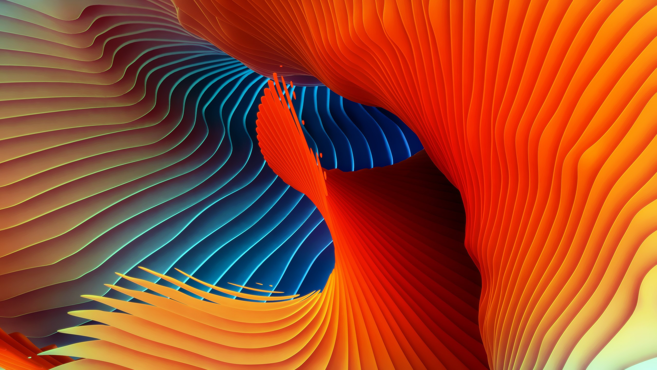 mac wallpaper,orange,blue,red,yellow,close up