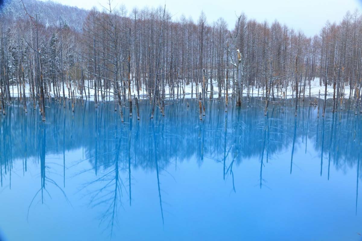 fondo de pantalla mac,naturaleza,paisaje natural,reflexión,agua,árbol