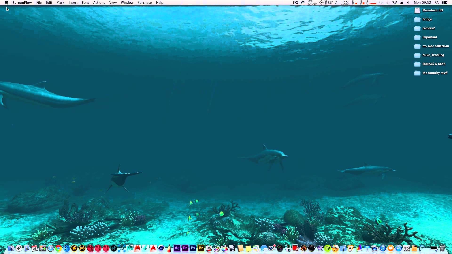 fonds d'écran hd pour mac,sous marin,biologie marine,poisson,aqua,océan